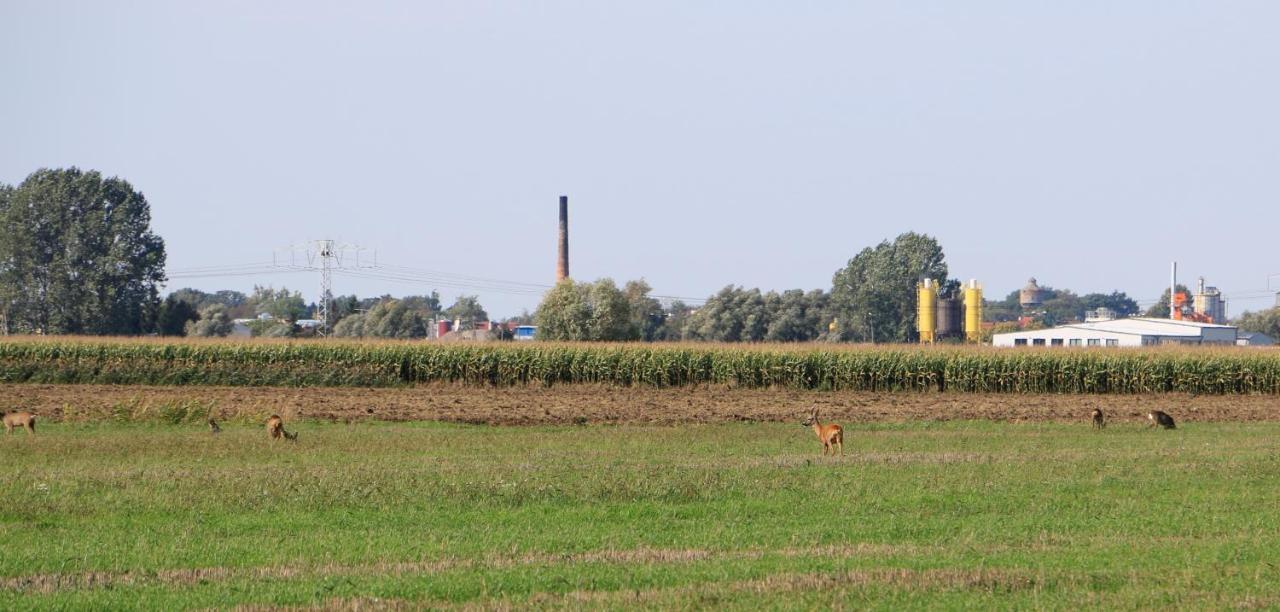 Agroturystyka Zulawiaczek Nowy Dwór Gdański 외부 사진