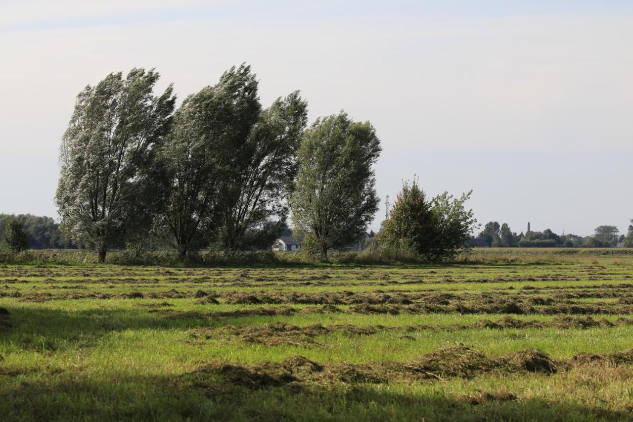 Agroturystyka Zulawiaczek Nowy Dwór Gdański 외부 사진
