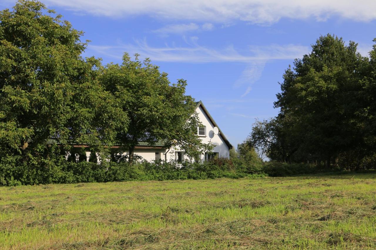 Agroturystyka Zulawiaczek Nowy Dwór Gdański 외부 사진